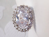 Clipon Bridal Earrings with Crystal Halo